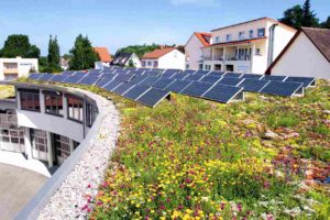 Zielony dach solarny